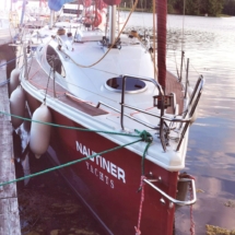 IMG_20220703_193412_edit_147946862 514923_resized_20220704_121902030 (Copy) IMG_20220703_193412_edit_147946862 514923_resized_20220704_121902030 (Copy)